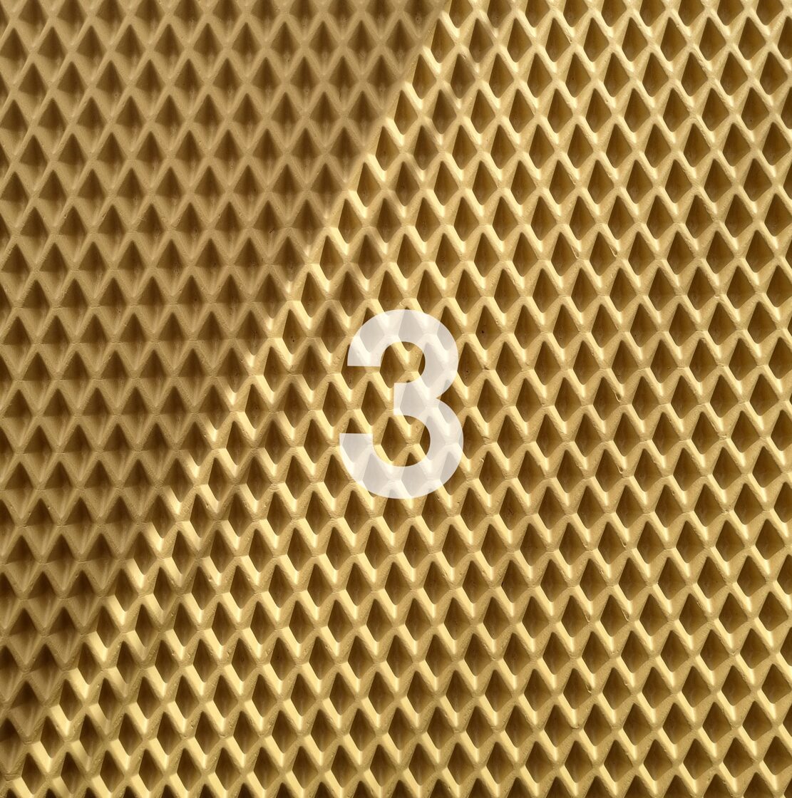 20241029_114432.jpg
